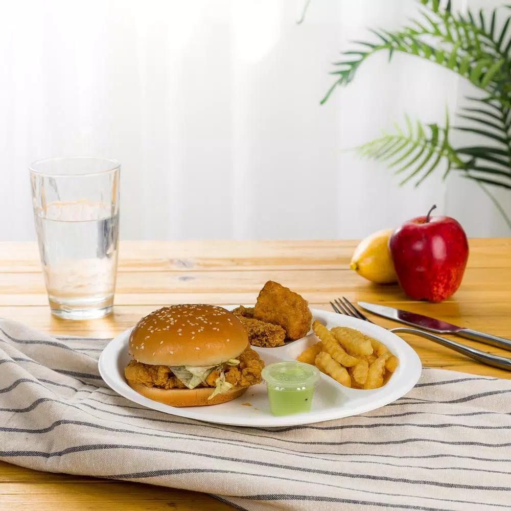 Unbranded 9 in. White Sugarcane Sectional Plates, 3-Compartment Biodegradable Disposable Plates (300 Pack)