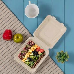 Unbranded 8 in. Natural Sugarcane Clamshell Containers, Biodegradable & Compostable (300 Pack) thumbnail 4