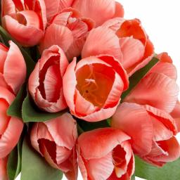 Pure Garden Soft Coral Tulip Floral Arrangement with Glass Vase and Faux Water thumbnail 3