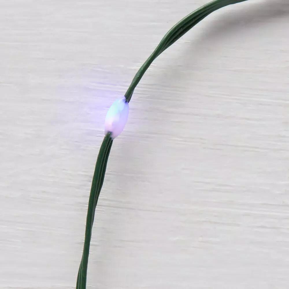 Home Accents Holiday 800-Count Micro Plus Color Changing LED Specialty Lights, 133 ft. Warm White to Multi-Color