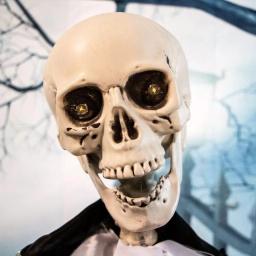 Haunted Hill Farm 5 ft. Animatronic Talking Skeleton Groom Halloween Prop thumbnail 11