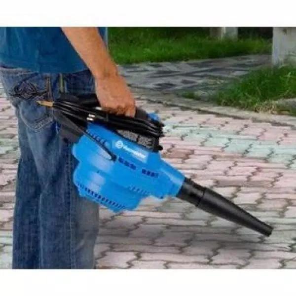 Vacmaster 12-Gallon Wet/Dry Vacuum with Detachable Blower, 5 HP Peak, 2-1/2 in. Hose