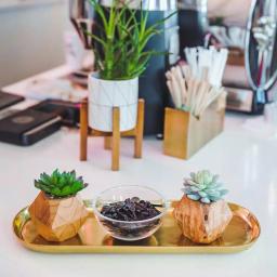 Flora Bunda Set of 2 Faux Succulents in Hand-Crafted Geometric Wood Planters, 4.5 in. thumbnail 3