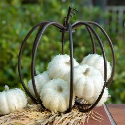 Flora Bunda 8-Piece Cream White Beaded Mini Pumpkin Set - Fall Harvest Indoor Tabletop Decor thumbnail 3