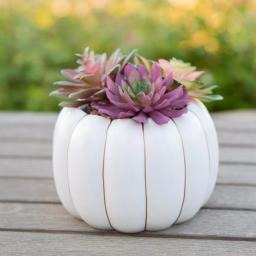 Flora Bunda 8 in. Fall Harvest Artificial Succulent Arrangement in Cream Pumpkin Pot with Gold Accents thumbnail 3