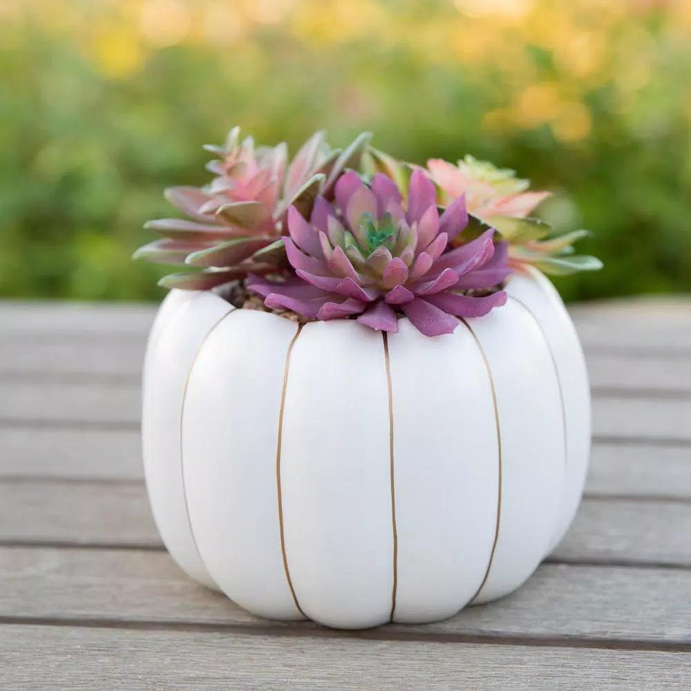 Flora Bunda 8 in. Fall Harvest Artificial Succulent Arrangement in Cream Pumpkin Pot with Gold Accents