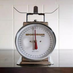 Sportsman Series 44 lb. Stainless Steel Analog Food Scale with Removable Bowl thumbnail 2