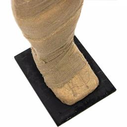 Haunted Hill Farm 5 ft. Standing Wrapped Mummy Halloween Prop thumbnail 9