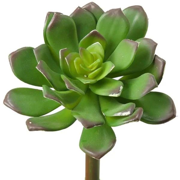 D&W Silks 7 in. Green Echeveria Succulent Faux Plants, Set of 12