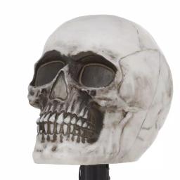 Home Accents Holiday 14.5 in. LED Scary Skull Pathway Markers with Sound and Timer (4-Pack) thumbnail 3