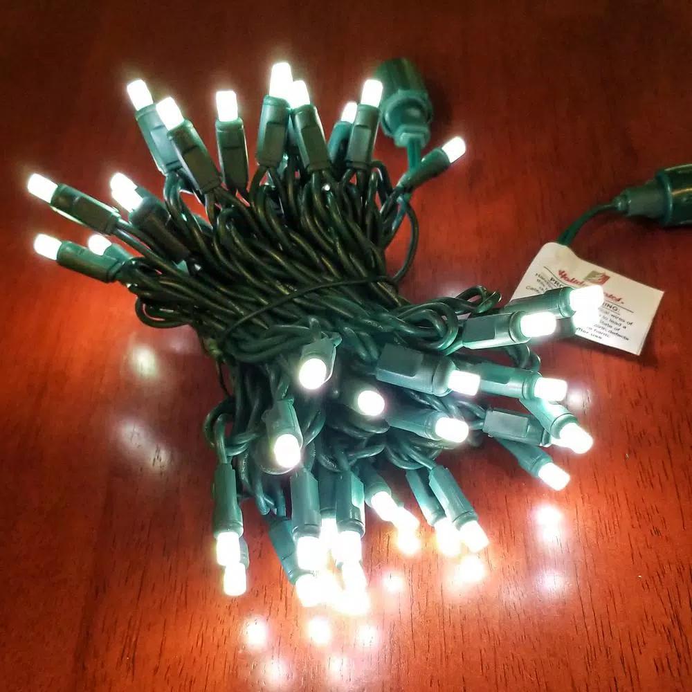 HOLIDYNAMICS HOLIDAY LIGHTING SOLUTIONS 50-Light RGB LED String Lights, 5 mm Frosted Bulbs, 4 in. Spacing, Green Cord