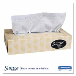Kimberly-Clark PROFESSIONAL Surpass Facial Tissue 2-Ply, 100-Count White Tissues thumbnail 3