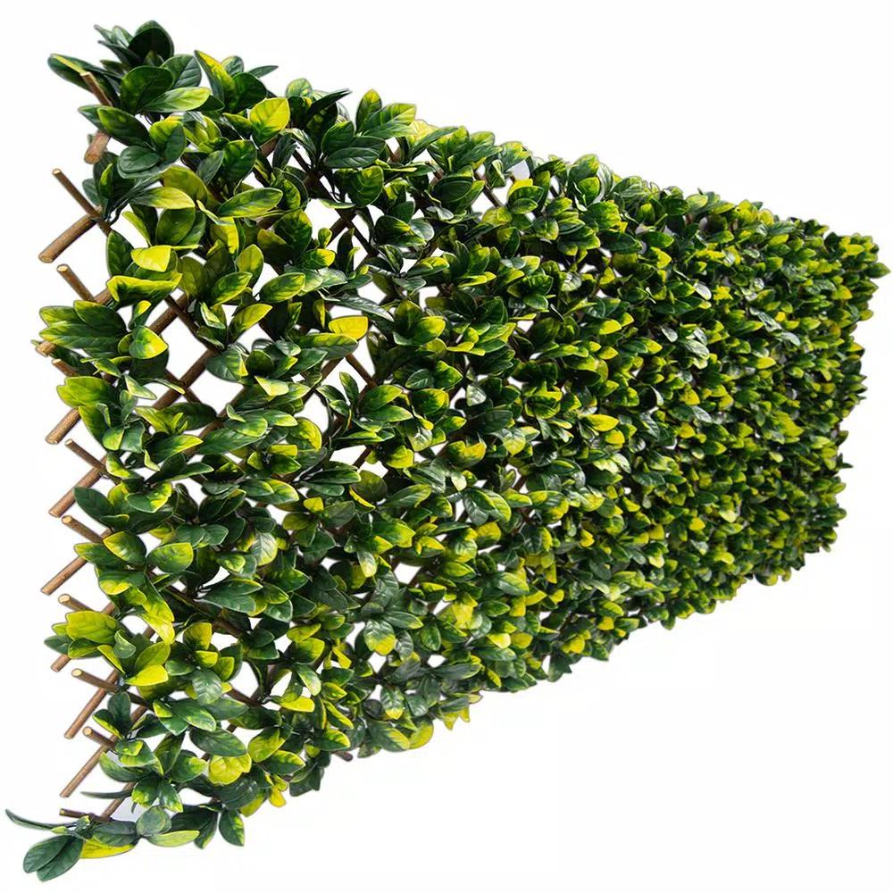 Greensmart Decor 40 in. x 80 in. Artificial Lemon Leaf Lattice Privacy Screen