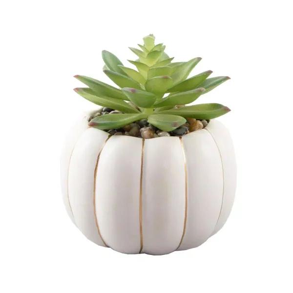 Flora Bunda 5 in. Fall Harvest Artificial Green Succulent in Cream Ceramic Pumpkin Pot with Gold Line