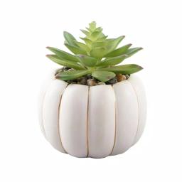Flora Bunda 5 in. Fall Harvest Artificial Green Succulent in Cream Ceramic Pumpkin Pot with Gold Line thumbnail 1