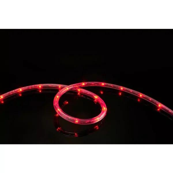 DEERPORT DECOR 16 ft. Red LED Rope Light 2-Pack, 360° Directional Shine, Indoor/Outdoor Specialty Lights