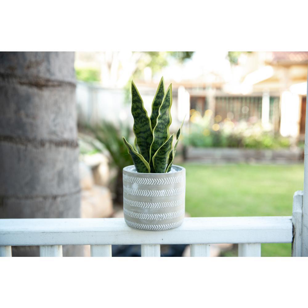 Flora Bunda 12 in. Faux Snake Plant in 4.75 in. Arrow Pattern Cement Planter