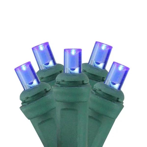 Sienna 4 ft. x 6 ft. Blue LED Net Style Christmas Lights with Green Wire, 150 Wide Angle Bulbs