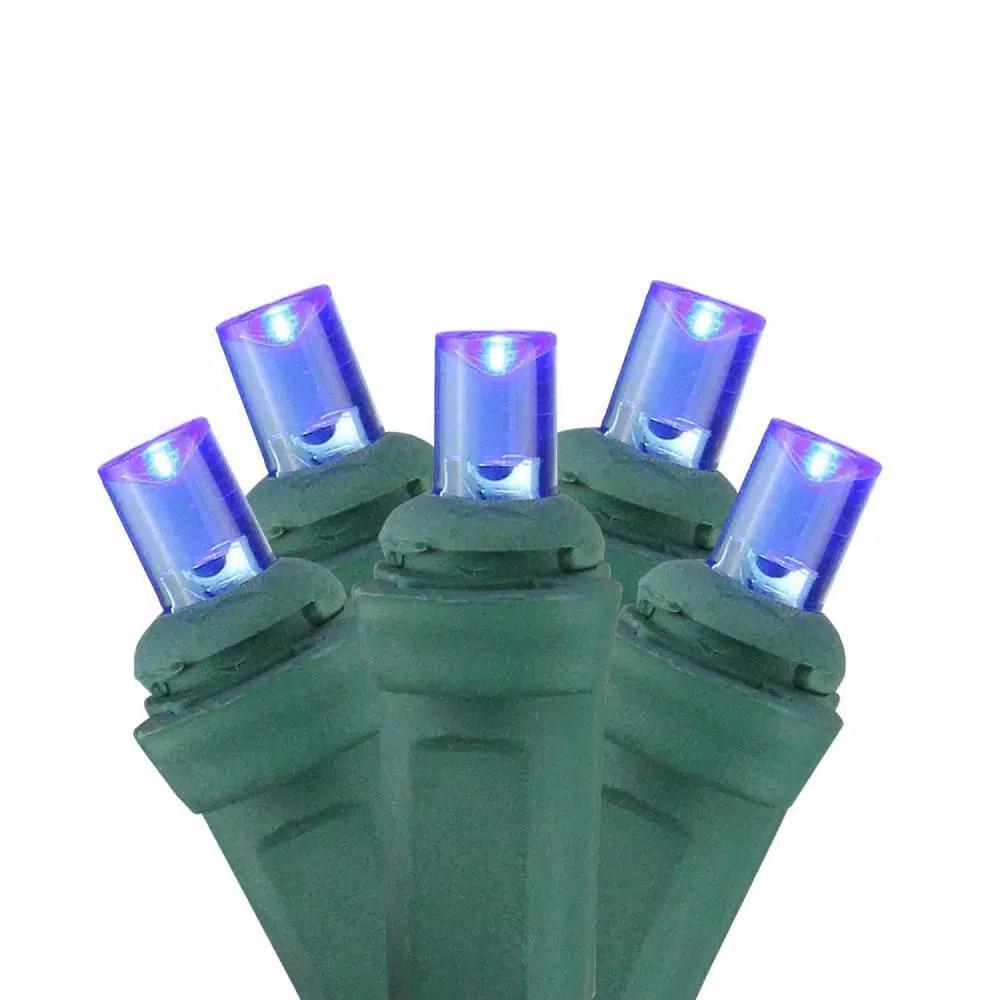 Sienna 4 ft. x 6 ft. Blue LED Net Style Christmas Lights with Green Wire, 150 Wide Angle Bulbs