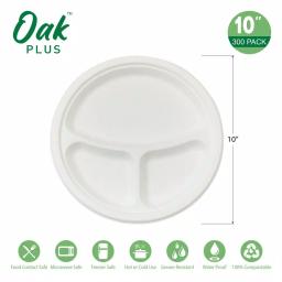 Unbranded 10 in. White Sugarcane Sectional Plates, 3-Compartment, 300 Pack thumbnail 3