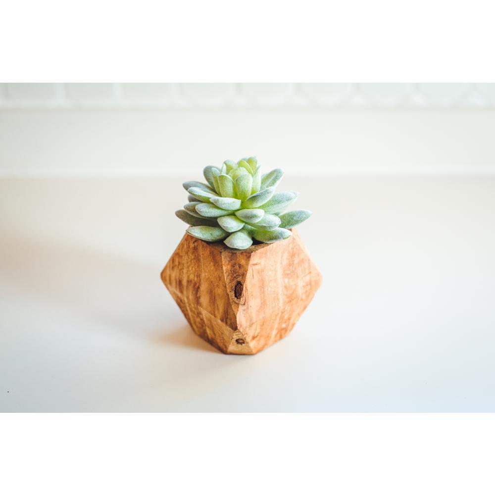 Flora Bunda Set of 2 Faux Succulents in Hand-Crafted Geometric Wood Planters, 4.5 in.