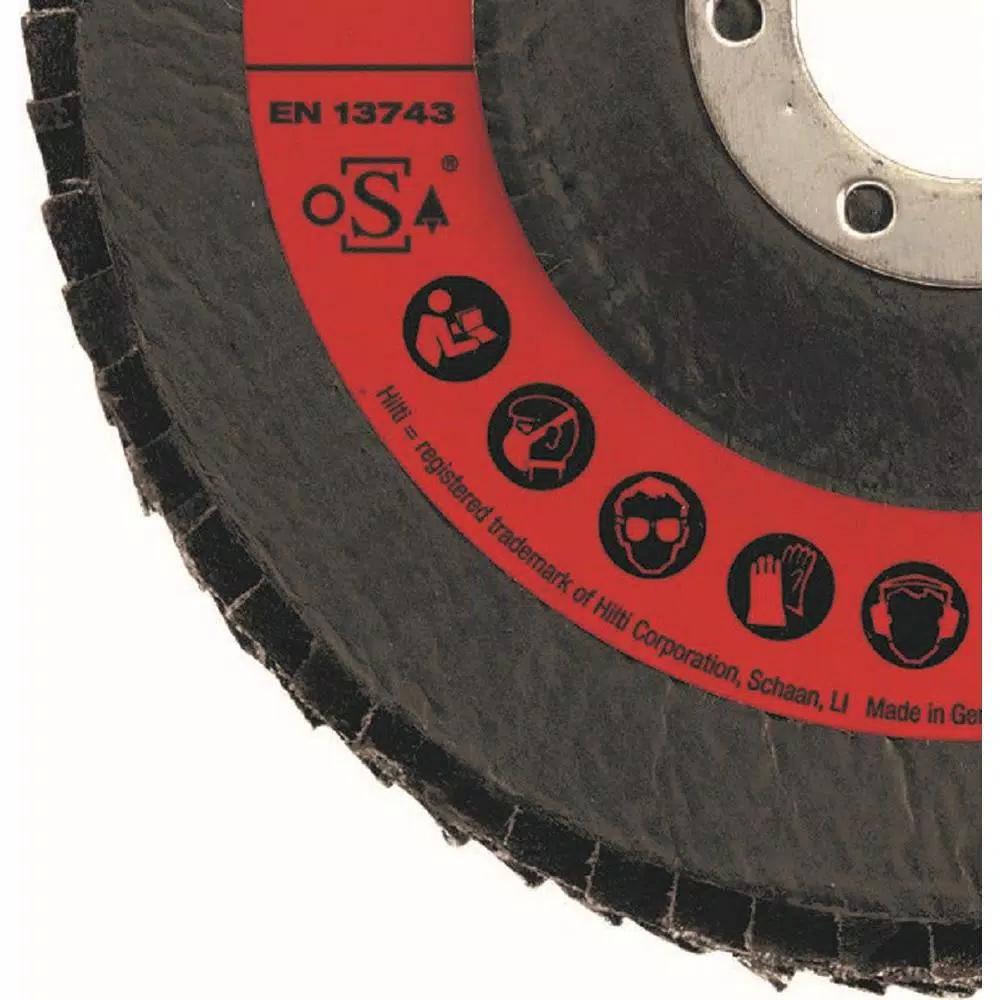 Hilti 5 in. x 7/8 in. 60 Grit Type 29 Flap Disc Universal Premium Pack, 10-Piece