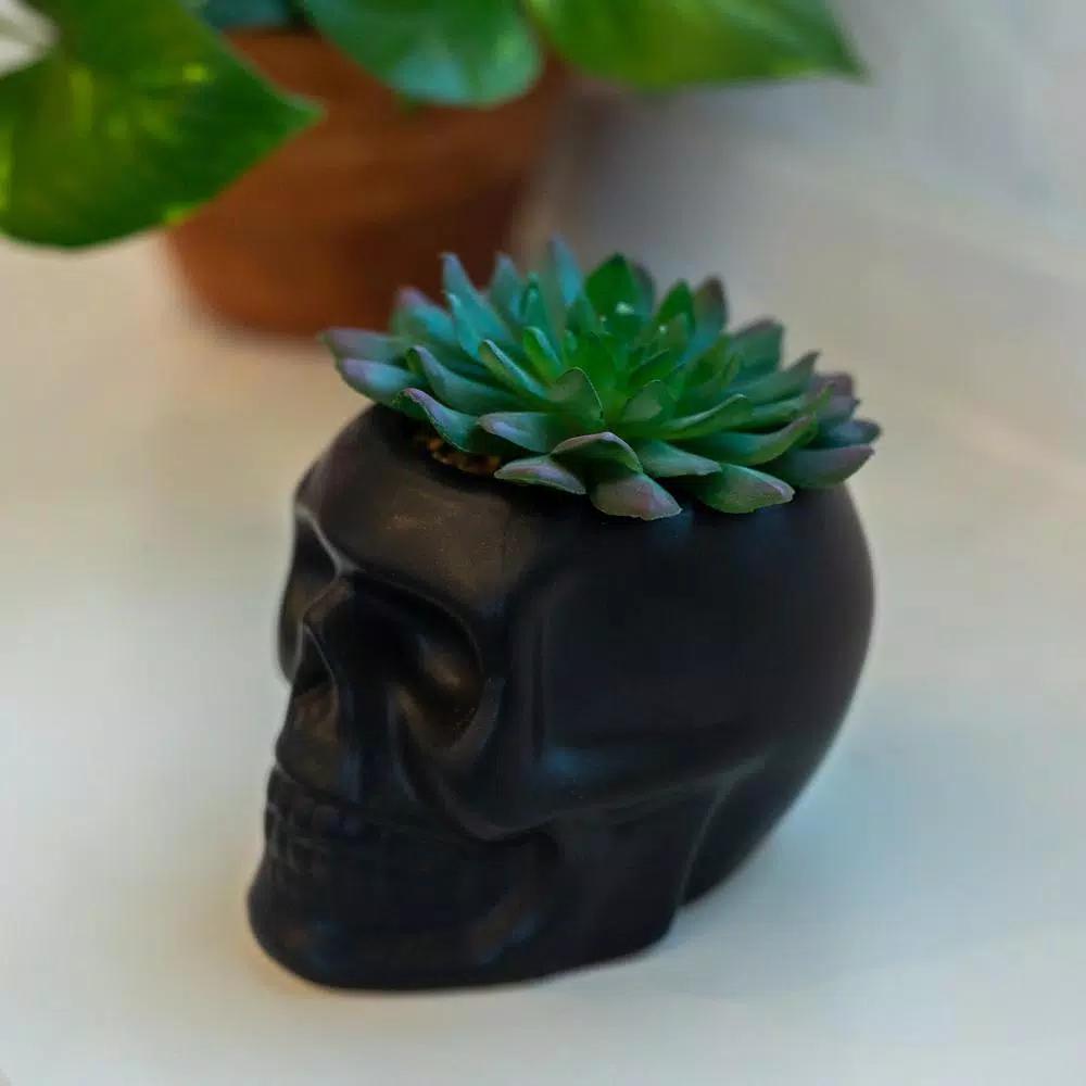 Flora Bunda 4.5 in. x 3.5 in. Artificial Succulent in Matte Black Ceramic Sugar Skull Planter