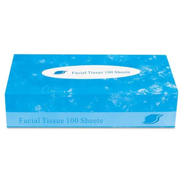 GEN 2-Ply White Facial Tissue, 100 Sheets per Box, 30 Box Carton