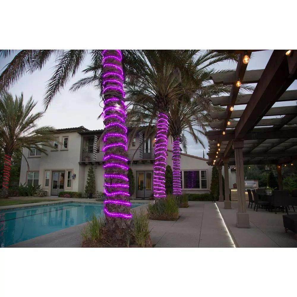 DEERPORT DECOR 16 ft. 108-Light Purple LED Rope Light, 360° Continuous Shine, Indoor/Outdoor Weather Resistant