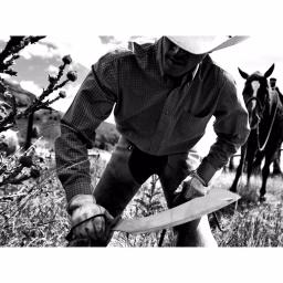 Gerber Broadcut 13.1 in. Stainless Steel Machete with Hook and Cut Notch thumbnail 4
