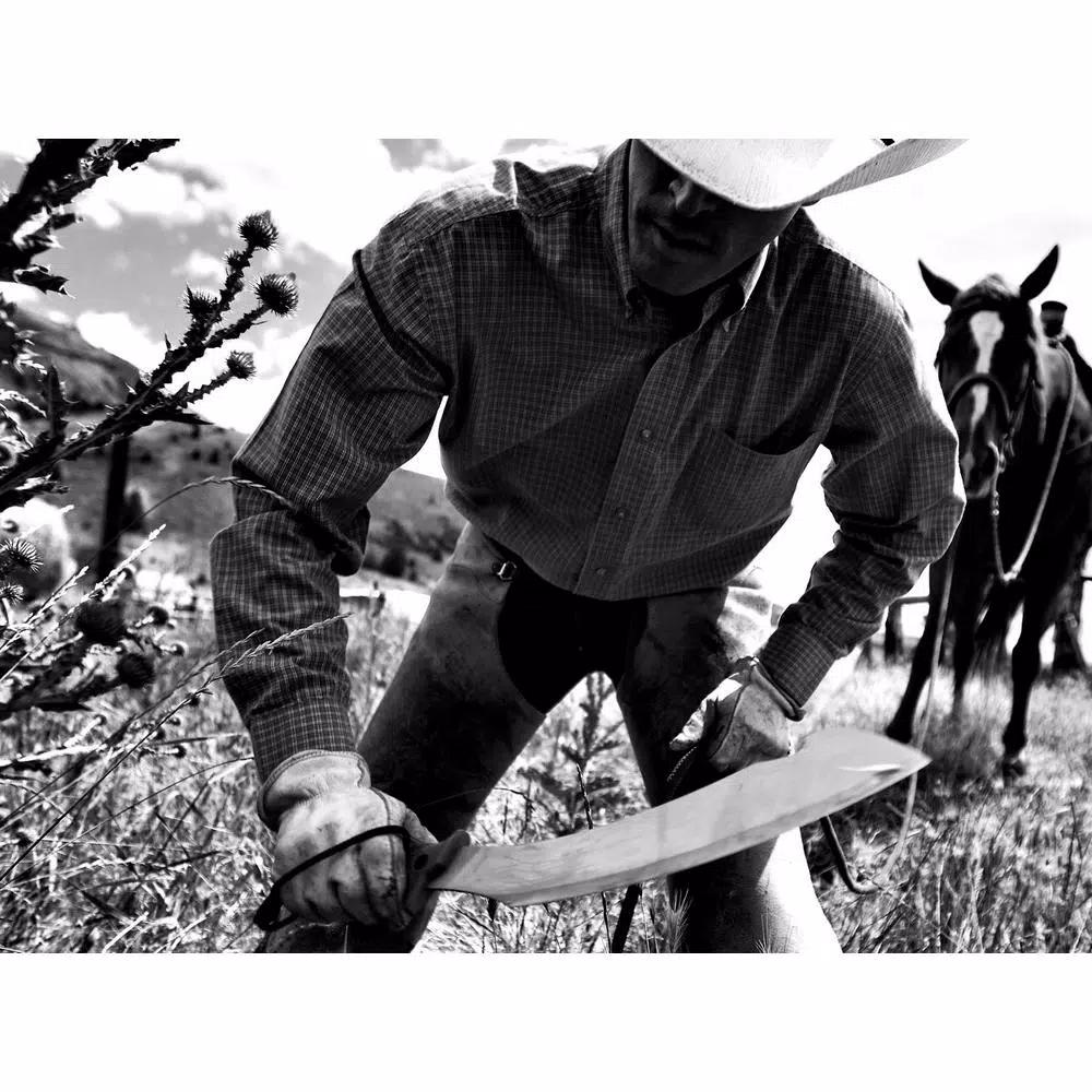 Gerber Broadcut 13.1 in. Stainless Steel Machete with Hook and Cut Notch