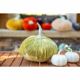 Flora Bunda 8-Piece Cream White Faux Foam Pumpkin Set - 3 in. Fall Harvest Tabletop Decor thumbnail 3