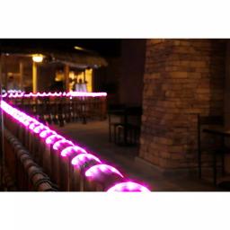 DEERPORT DECOR 16 ft. Pink LED Rope Light, 108-Light 360° Continuous Shine, Indoor/Outdoor Weather Resistant thumbnail 4