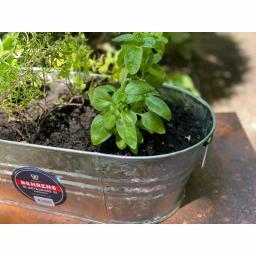 Behrens 1 Gal. Hot Dipped Galvanized Steel Oval Tub with Wire Handles thumbnail 4
