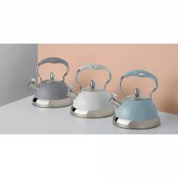 Typhoon Living 10 Cup Gray Stainless Steel Stovetop Tea Kettle thumbnail 2