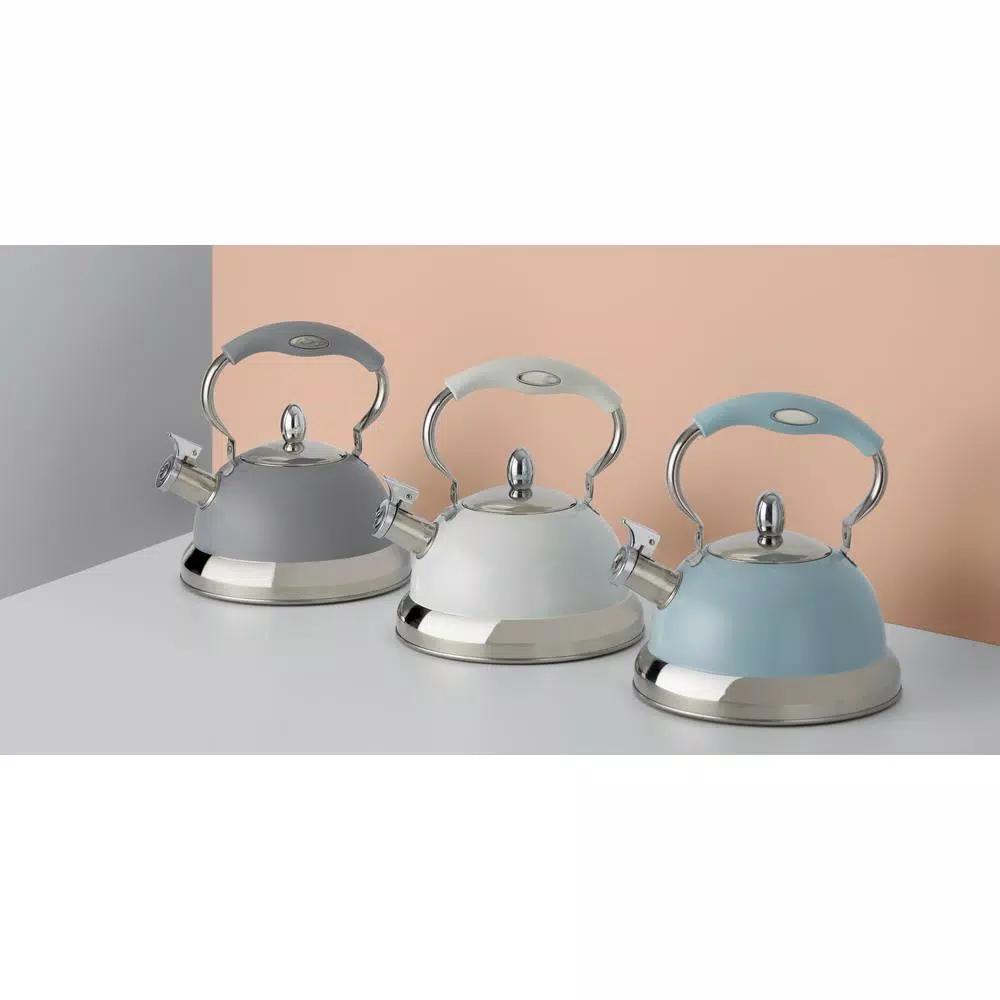 Typhoon Living 10 Cup Gray Stainless Steel Stovetop Tea Kettle