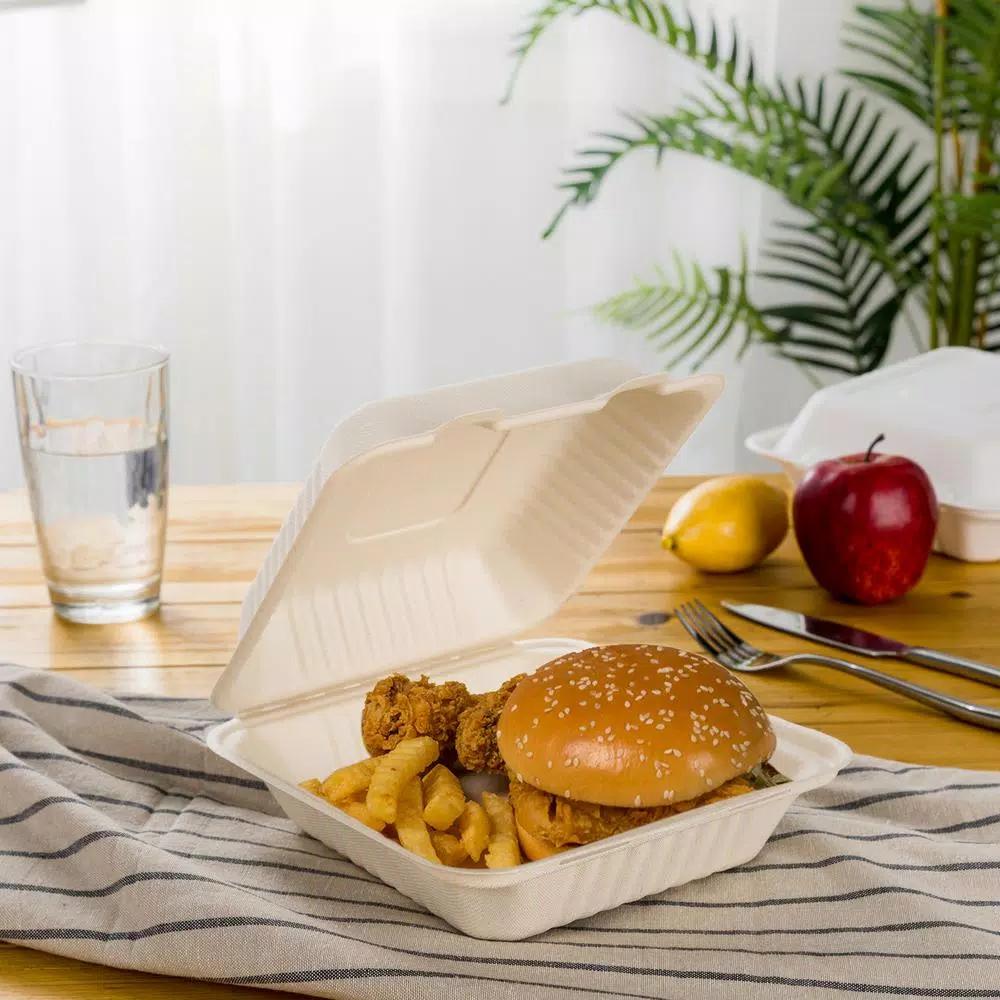 Unbranded 8 in. Natural Sugarcane Clamshell Containers, Biodegradable & Compostable (300 Pack)
