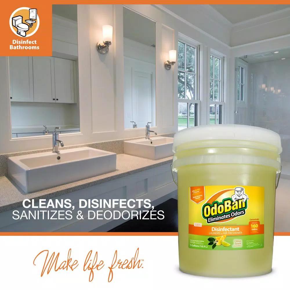 OdoBan Citrus Multi-Purpose Disinfectant & Odor Eliminator Concentrate, 5 Gal.