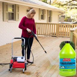Mold Armor Multi-Purpose Pressure Washer Cleaner, 1 Gallon (2-Pack) thumbnail 3