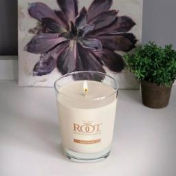 ROOT CANDLES A.I. Root Veriglass French Vanilla Scented Soy and Beeswax Filled Jar Candle thumbnail 1