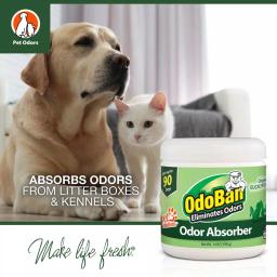 OdoBan 14 oz. Eucalyptus Solid Odor Absorber Gel thumbnail 3