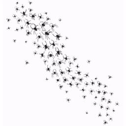 WallPops Little Spiders Halloween Wall Art Kit - 52pc Peel and Stick Spider Wall Decals, 24 in. x 17.5 in. thumbnail 2