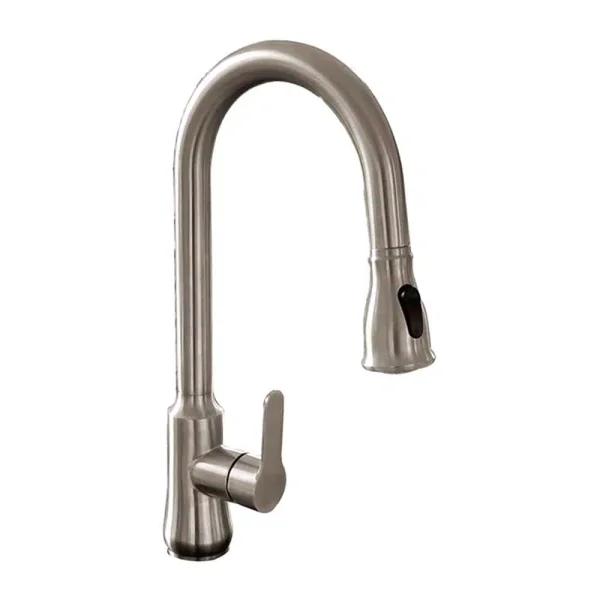 Vanity Art Brushed Nickel Single-Handle Pull Out Kitchen Faucet with 360 Degree Swivel Spout