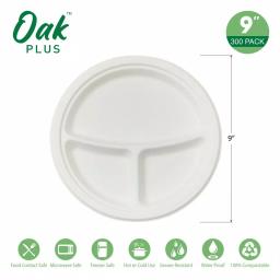 Unbranded 9 in. White Sugarcane Sectional Plates, 3-Compartment Biodegradable Disposable Plates (300 Pack) thumbnail 3