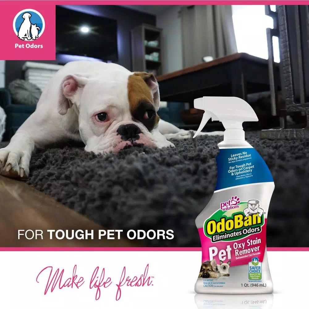 OdoBan Pet Oxy Stain Remover, 32 oz. Oxygen-Powered Odor and Stain Eliminator