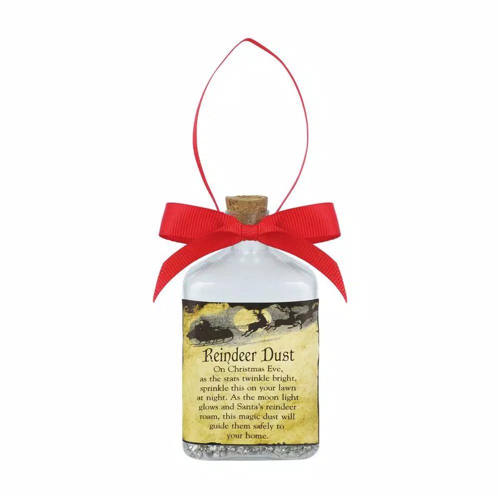 Amscan Christmas Reindeer Dust Ornament with Poem, 2-Pack