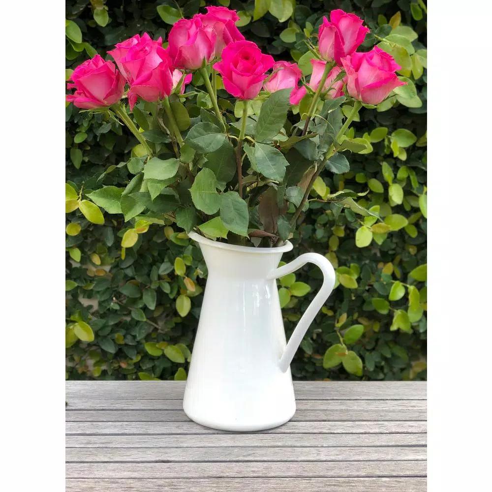 Golden Rabbit 3 Qt. White Enamelware Pitcher, Porcelain-Enameled Steel