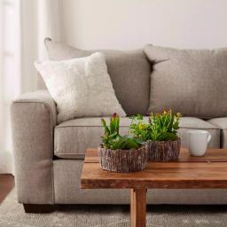 Pure Garden 8 in. Faux Succulent Arrangement with Decorative Concrete Planter, Set of 2 thumbnail 4