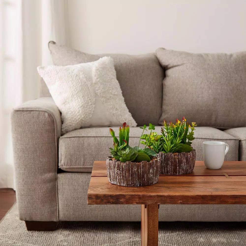 Pure Garden 8 in. Faux Succulent Arrangement with Decorative Concrete Planter, Set of 2