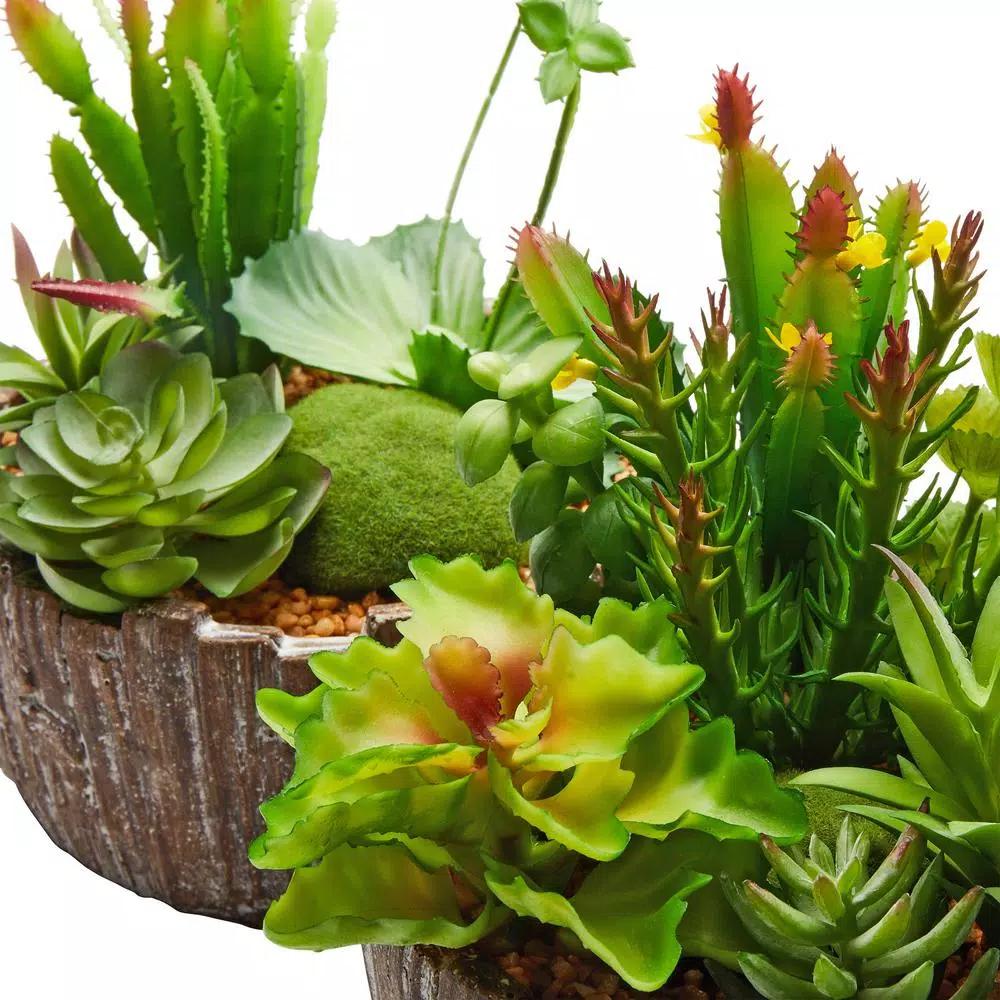 Pure Garden 8 in. Faux Succulent Arrangement with Decorative Concrete Planter, Set of 2